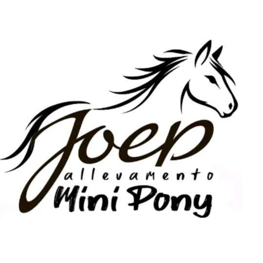 @joep.allevamentominipony