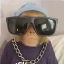 @chilldawg145