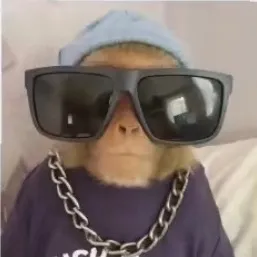 @chilldawg145