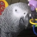 @feathersandfriends