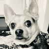 whiskeyandtennessee