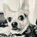 @whiskeyandtennessee