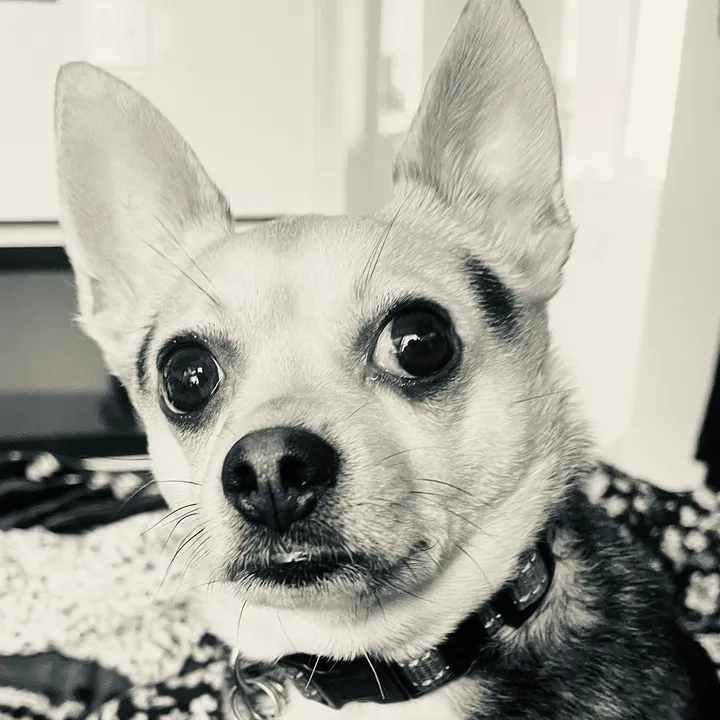 whiskeyandtennessee
