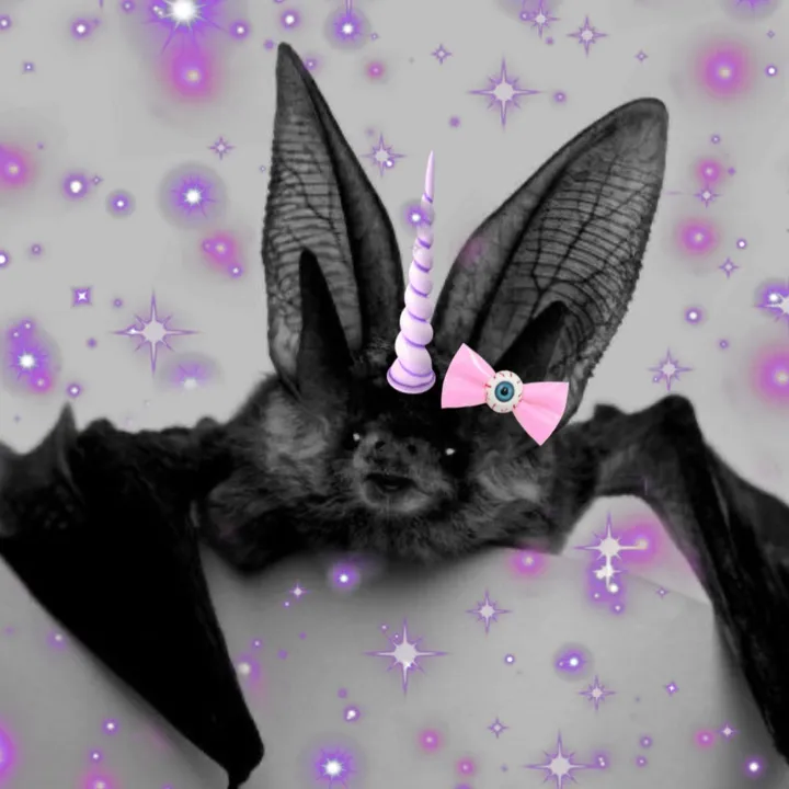@unicornmorgue