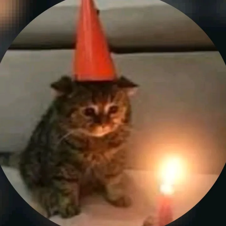 @eeeeeee_11ee_