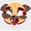 funny.animal.camp
