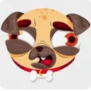 @funny.animal.camp