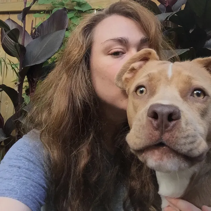 @petluvart