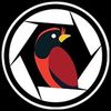 birdingsimulator