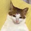 @itsl3nn0n2