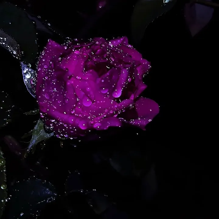 @shytpost3