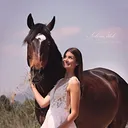 @grandeaventure