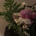 @jrsyrmdni