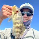 @bpalwaysfishing