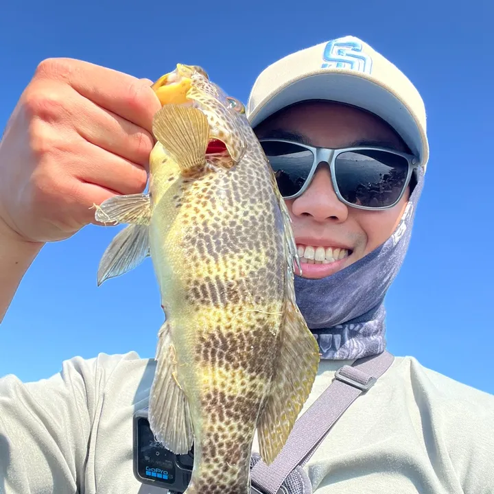 bpalwaysfishing