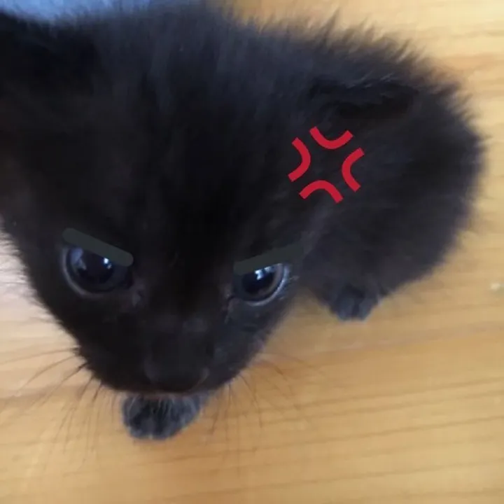 eviilhead