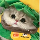 @kiki_animals22