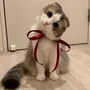 @jamaispars