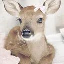 @rainy.wainy_