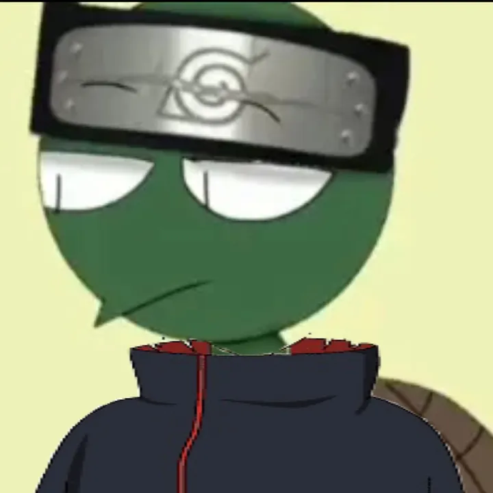 @im_franklintheturtle