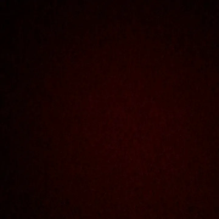 @trd.snap