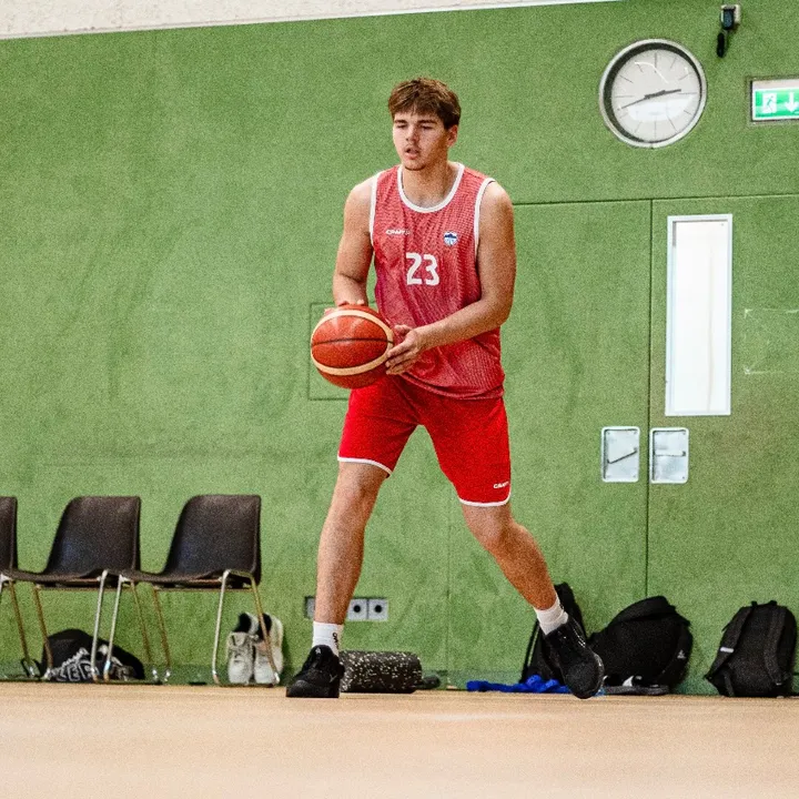 arminhoops