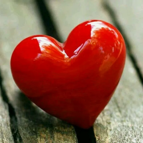 dddeamor