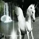 @wyyyyyatt