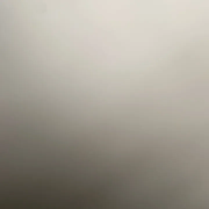 @monamonako73