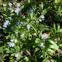 @forgetmenotoday