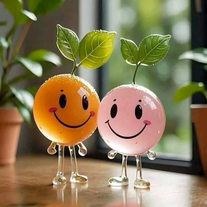 @sameera_today