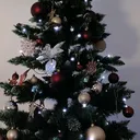 @jetztlivedeutschland