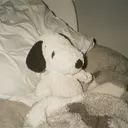 @fanofwallows