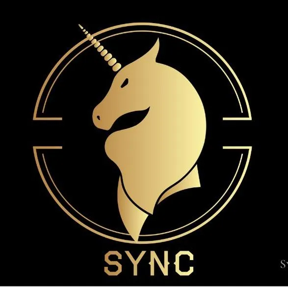 @syncequestrian