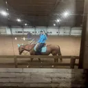 @eq_leylaa