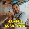 gunduzkusagimiz