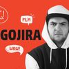 aproximativgojira