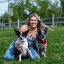 @thezcattledogs