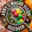 @arnymacrovision