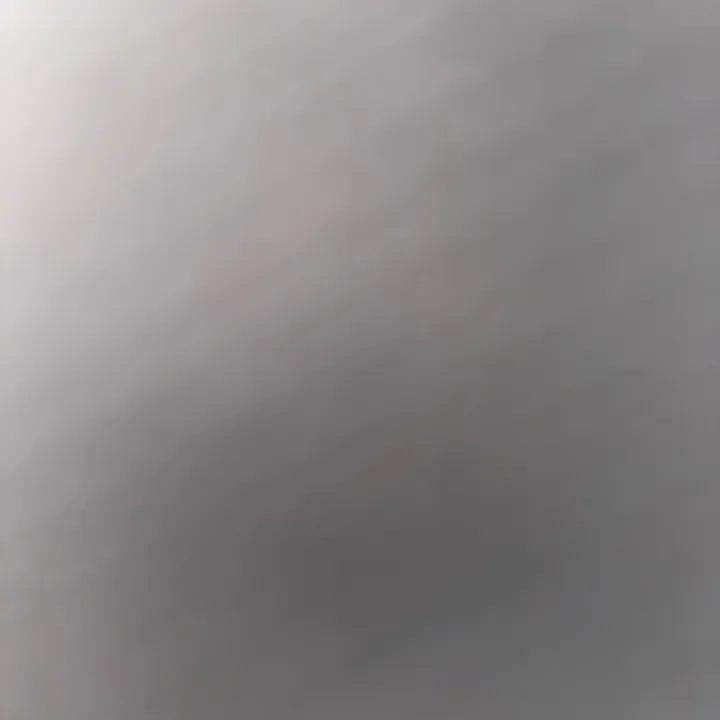 @laceytate11