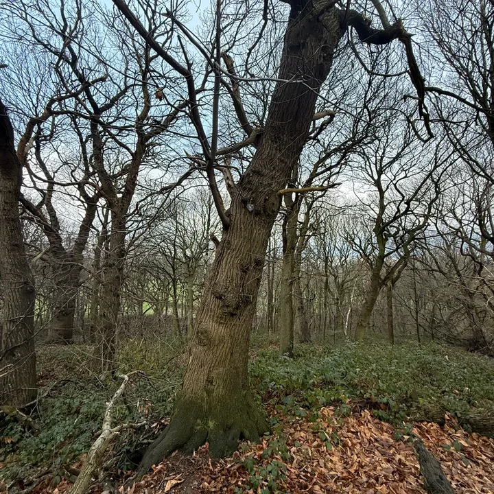 barnsley58