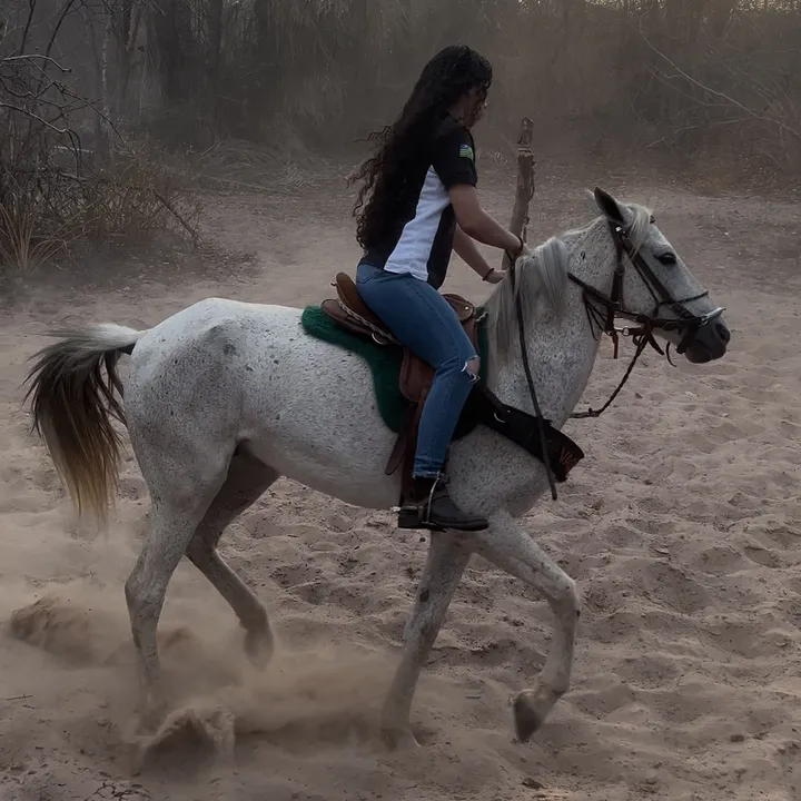 @laisafelix_