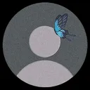 @nickol.guari3