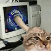 crspygirl