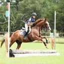 @broken.horse.vibes