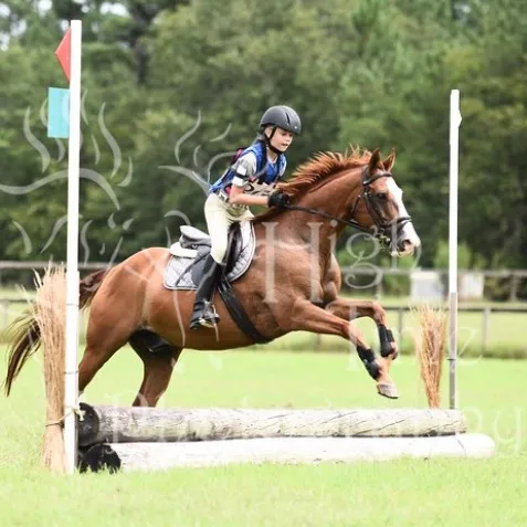 @broken.horse.vibes