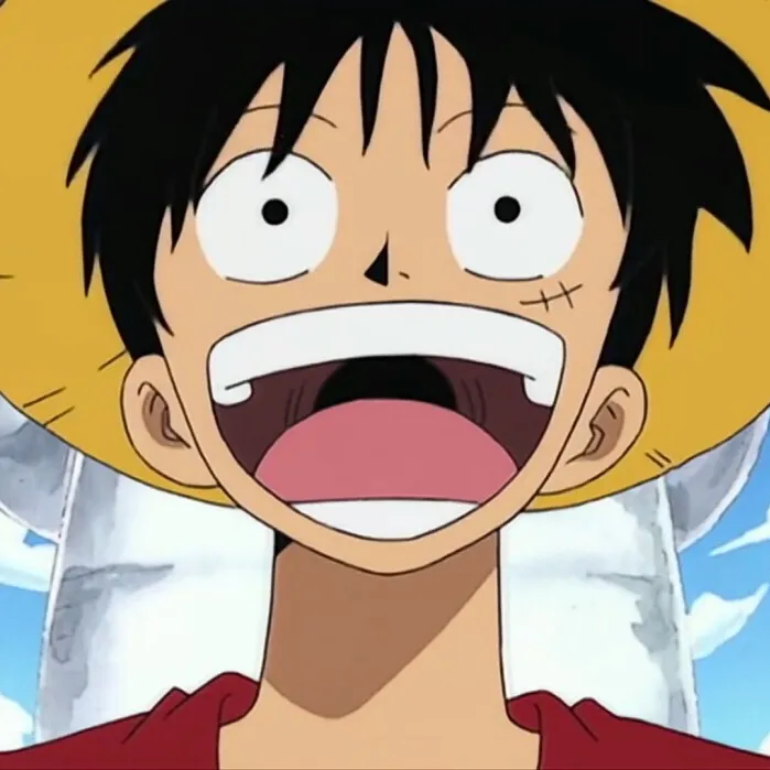 ilikeonepiece31