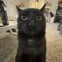 @astrokitty48
