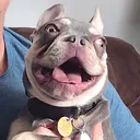 @adventuresofmumford