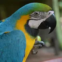 @vkiapn1sv8